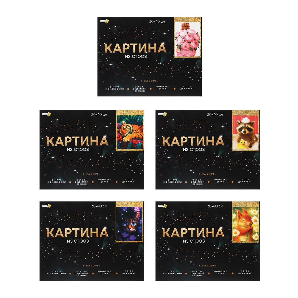 Картина из страз, комплект: твердая основа, стразы, стилус, 30х40см, 6 диз ХОББИХИТ(1/10/30)